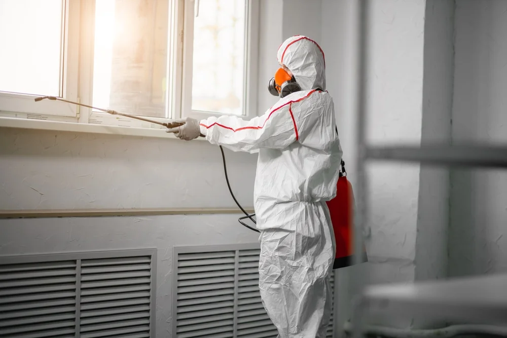 Professional mold remediation services in Marble Hill, GA